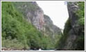 Tara rafting